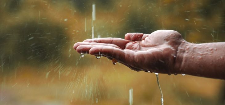 Ogrodowe zbiorniki na deszczówkę – wybierz mądrze